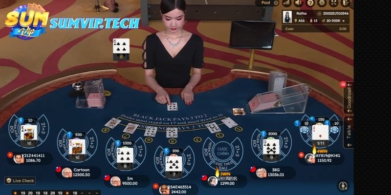 Nhận biết các loại cược một cách dễ dàng