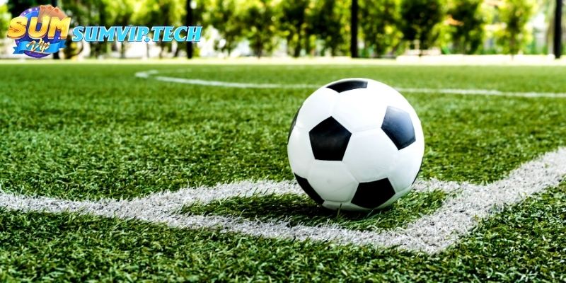 Tổng hợp các loại cược phổ biến nhất trên bảng kèo cổng game